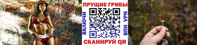 Псилоцибиновые грибы Psilocybe  цена   Белоярский 